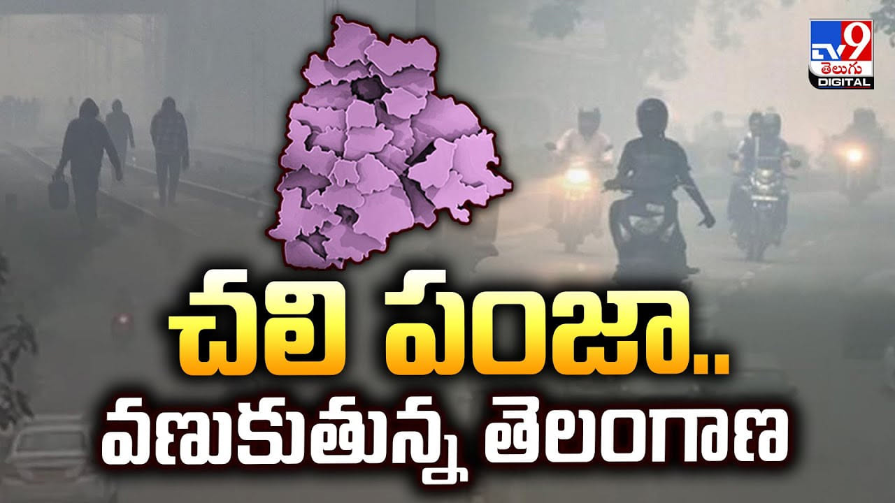 Weather Report: చలి పంజా.. వణుకుతున్న తెలంగాణ