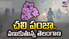 చలి పంజా.. వణుకుతున్న తెలంగాణ