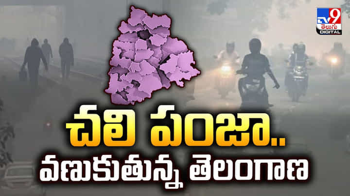 Weather Report: చలి పంజా.. వణుకుతున్న తెలంగాణ Weather Report: చలి పంజా.. వణుకుతున్న తెలంగాణ