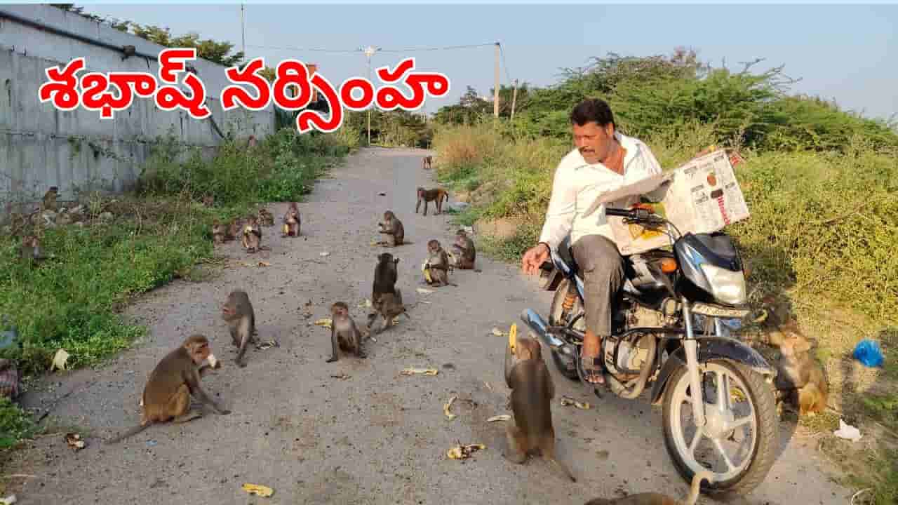 ఆహారం లేక అలమటిస్తున్న వానరాలు.. అక్కున చేర్చుకుని ఆకలి తీరుస్తున్న జంతుప్రేమికుడు