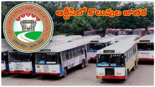 Infosys Hiring: ఫ్రెషర్స్‌కు గుడ్‌న్యూస్.. ఇన్ఫోసిస్ బంపర్ ఆఫర్.. భారీ ప్యాకేజీతో ఆహ్వానం!  పూర్తి వివరాలు ఇవే!