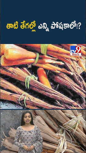 తాటి తేగలు తింటే.. ఆరోగ్యానికి బోలెడు హెల్త్ బెనిఫిట్స్..!