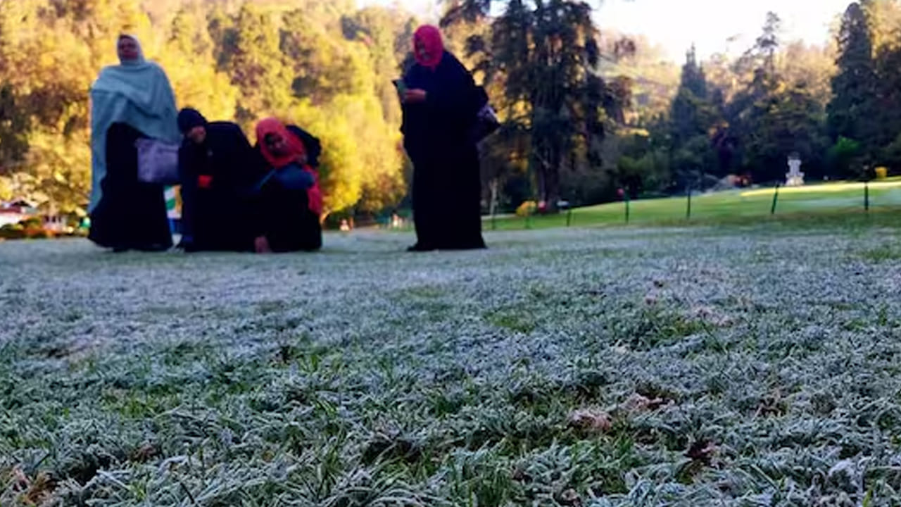 గోల్ఫ్ కోర్స్ లోని గడ్డి భూములు: ఊటీలోని 18 రంధ్రాల గోల్ఫ్ కోర్స్ విశాలమైన గ్రౌండ్, గడ్డి భూములపై రాత్రిపూట మాయాజాలంతో మంచు వైభవాన్ని ఆస్వాదించగల ప్రదేశం. నగరం నుండి ఫింగర్ పోస్ట్ రోడ్డులో కొన్ని నిమిషాల ప్రయాణంలో, ఈ ప్రదేశానికి సులభంగా చేరుకోవచ్చు.