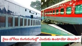 రైలు బోగీలు రంగురంగుల్లో ఎందుకు ఉంటాయో తెలుసా?
