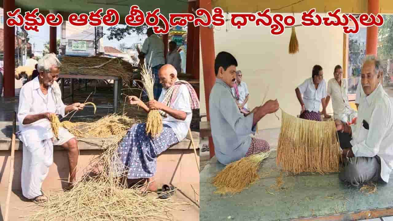 Andhra Pradesh: రైతు అంటే ఇదీ.. పక్షుల కోసం పండించిన ధాన్యం.. సంస్కృతిలో దాగున్న నిస్వార్థ ప్రేమ..