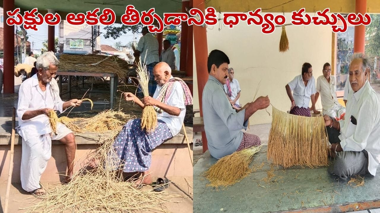 Andhra Pradesh: రైతు అంటే ఇదీ.. పక్షుల కోసం పండించిన ధాన్యం.. సంస్కృతిలో దాగున్న నిస్వార్థ ప్రేమ..