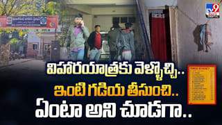 వీటిని కుందేళ్లు అనుకునేరు.. ఏంటో తెలిస్తే షాకవుతారు