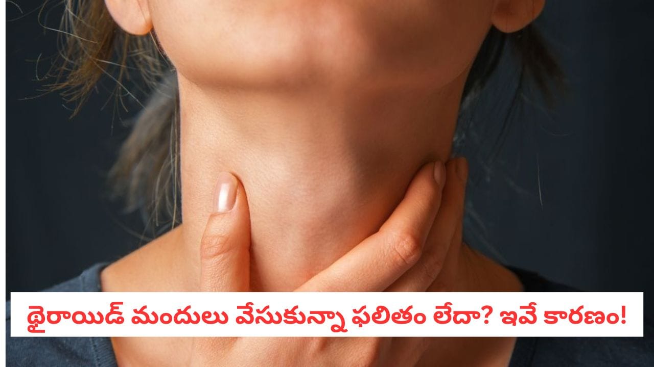 Thyroid Health: థైరాయిడ్ రోగులకు విషంతో సమానం.. ఈ ఆహార పదార్థాలను వెంటనే పక్కన పెట్టండి!