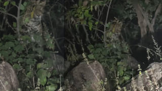 Telangana: చెప్పులు, బూట్లతో వస్తే ఆ గ్రామాల్లోకి నో ఎంట్రీ.! కారణం తెలిస్తే షాక్ అవుతారు