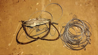 Weather Alert: వర్షాలు.. చలి.. బాబోయ్ వాతావరణం మొత్తం మారిపోయిందిగా.. ఇదిగో లేటెస్ట్ రిపోర్ట్..