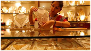 Business Idea: ఈ చెట్ల పెంపకంతో కోట్లల్లో లాభం.. సాగు విధానం గురించి మీకు తెలుసా?