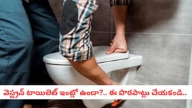 వెస్ట్రన్ టాయిలెట్ ఇంట్లో ఉందా?.. ఈ పొరపాట్లు చేయకండి..