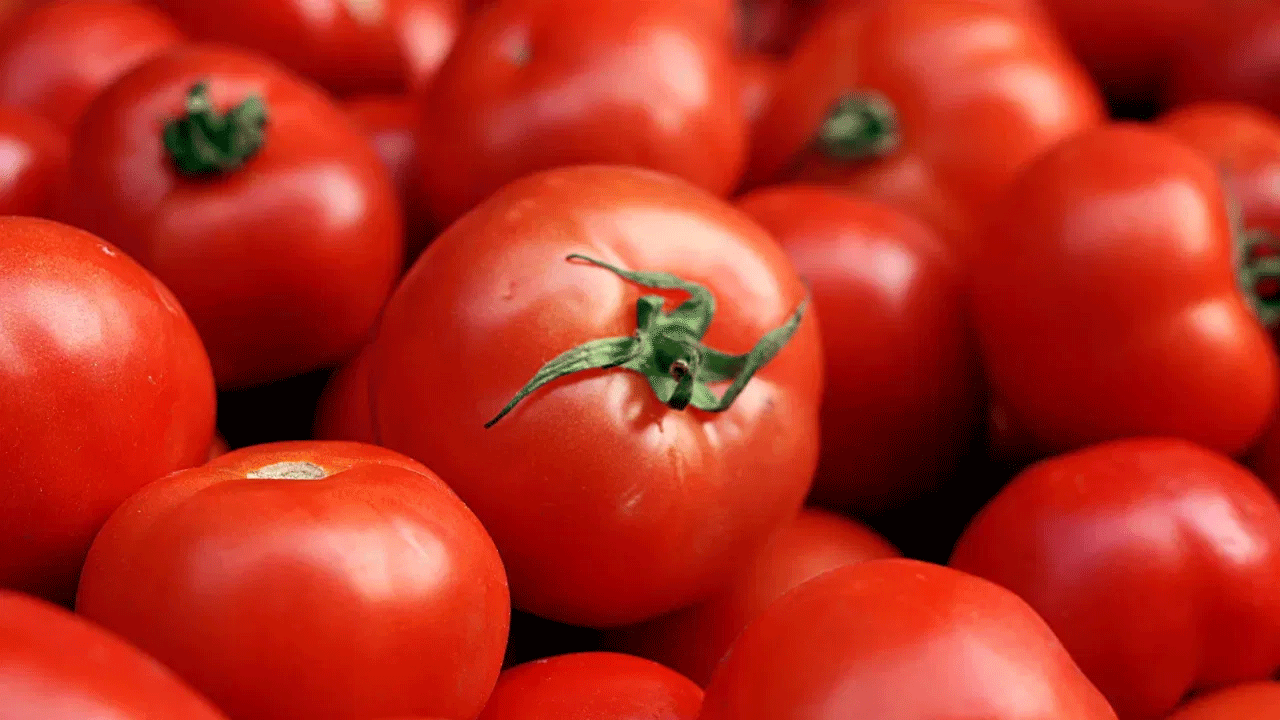 ప్రతిరోజూ టమోటా తింటే ఏమవుతుందో తెలుసా..? తప్పక తెలుసుకోవాలి..లేదంటే..