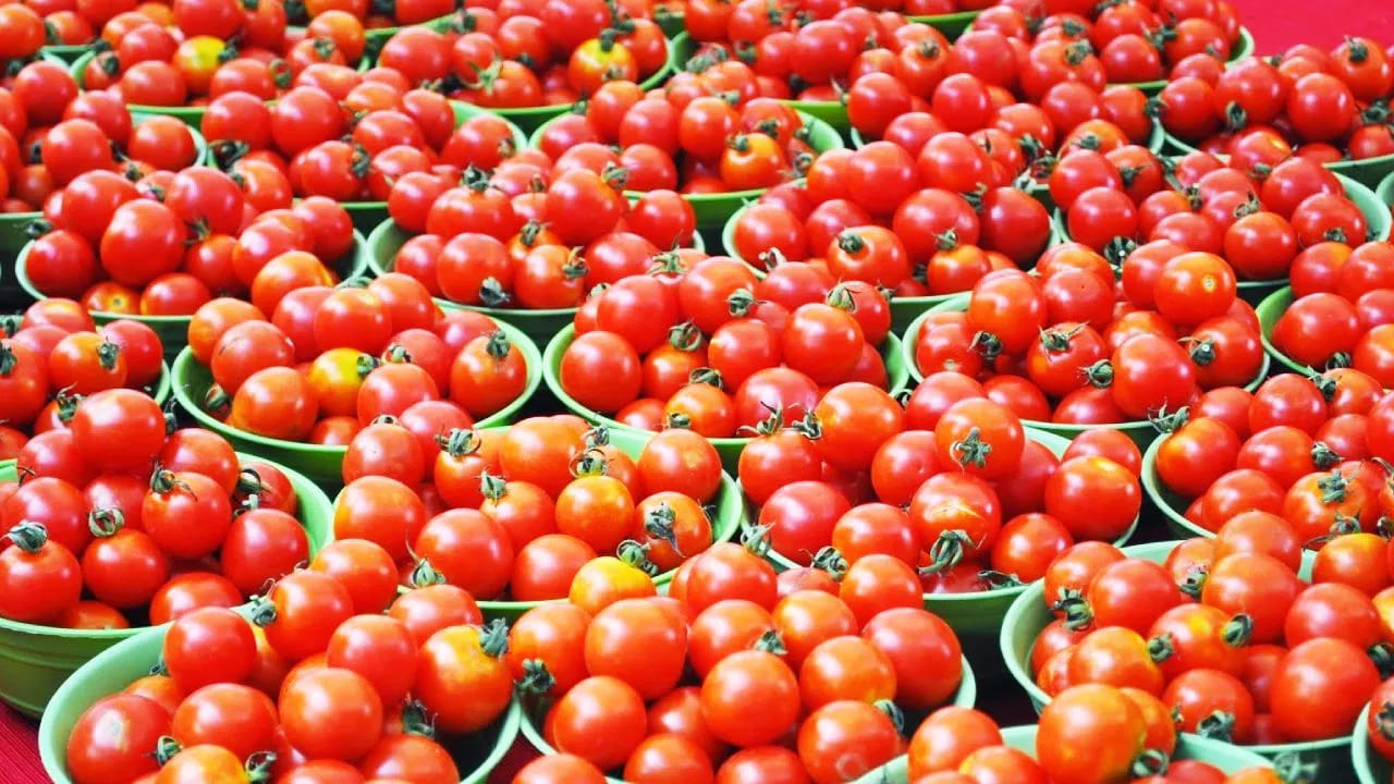 టమాటా: టమాటాలలో లైకోపీన్ అనే శక్తివంతమైన యాంటీఆక్సిడెంట్, పొటాషియం అధికంగా ఉంటాయి. ఈ పోషకాలు రక్తపోటును నియంత్రించడానికి, గుండె కణాలను దెబ్బతినకుండా కాపాడటానికి ప్రయోజనకరంగా ఉంటాయి. కేవలం ఈ ఆహారాలను తీసుకోవడమే కాకుండా ఉప్పు, చక్కెర, ప్రాసెస్ చేసిన ఆహారాలను తగ్గించడం ద్వారా మీ గుండె ఆరోగ్యాన్ని మరింత మెరుగుపరుచుకోవచ్చు.
