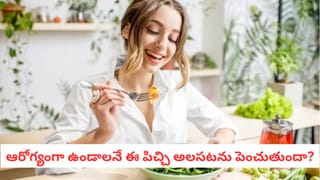 Wellness Tips: మీ ఆరోగ్య నియమాలు మిమ్మల్ని రోగిగా మారుస్తున్నాయా? ఈ 7 అలవాట్లు ఉంటే జాగ్రత్త!