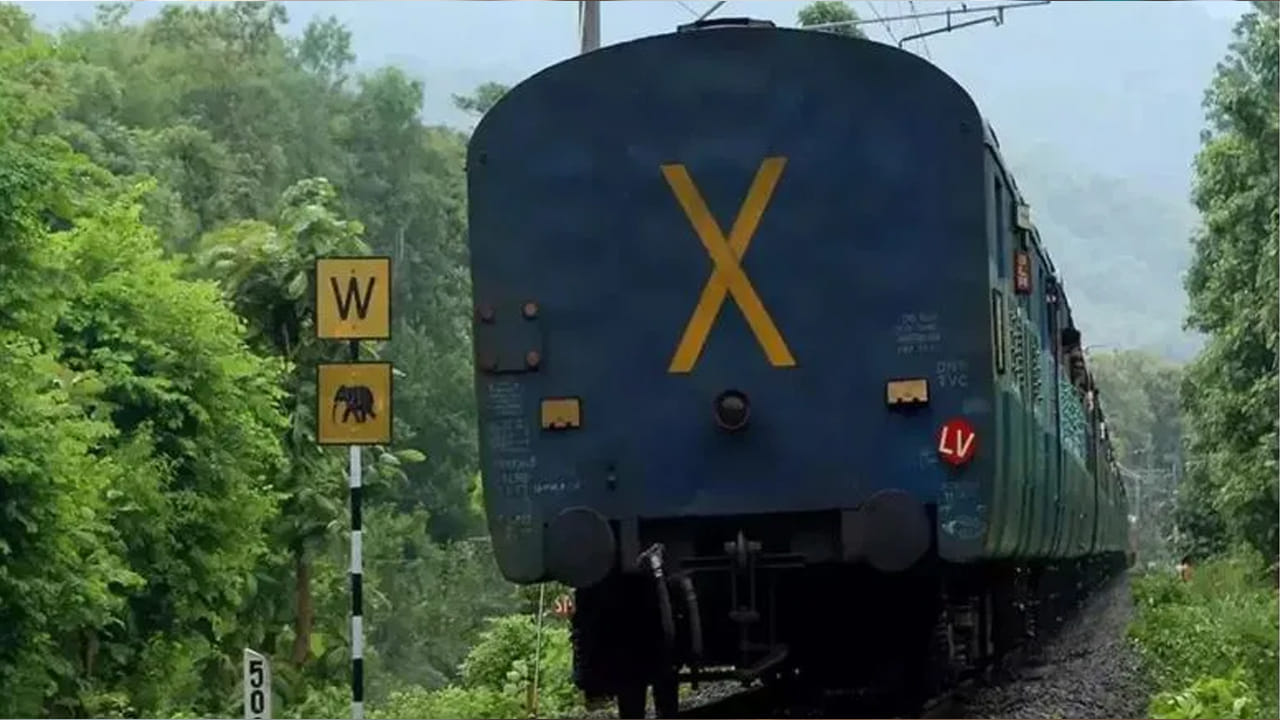 రైళ్ల భద్రతను నిర్ధారించడానికి రైల్వేలు అనేక సిగ్నల్‌లను ఉపయోగిస్తాయి. రైలు ప్రయాణంలో వివిధ సందేశాలను అందించడానికి ఈ సిగ్నల్‌లను ఉపయోగిస్తారు. అలాంటి ఒక ప్రత్యేక సందేశం రైలు చివరి కోచ్‌పై ఉంటుంది.