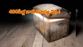 వంటింట్లో ఫ్లోరింగ్‌ పనులు..పారకు తగిలిన 400ఏళ్ల నాటి రహస్య నిధి!