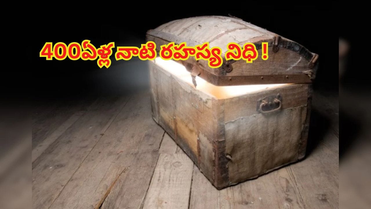 వంటింట్లో ఫ్లోరింగ్ పనులు.. పారకు తగిలిన 400ఏళ్ల నాటి రహస్య నిధి.. వేలం పాటతో శ్రీమంతులైన జంట