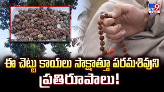 Hyderabad: హైదరాబాద్‌కు బీచ్ వచ్చేస్తోందోచ్