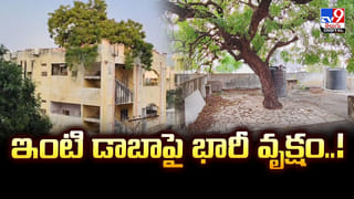 Viral Video: ఏం గుండెరా వాడిది.. ఏకంగా తేనె పుట్టలో చేయి పెట్టి మరీ..!