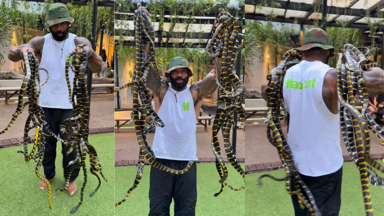 ఓరి భయ్యో.! అవి పాములు.. న్యూడుల్స్ కాదు.. వీడియో చూస్తే వణుకే