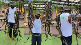 ఓరి భయ్యో.! అవి పాములు.. న్యూడుల్స్ కాదు.. వీడియో చూస్తే వణుకే