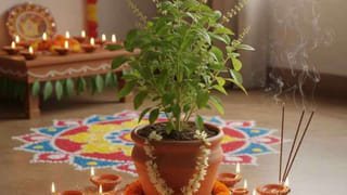 ఇవి నీటిలో కలిపి స్నానం చేసారంటే.. మీ ఇంట్లో అదృష్టం..