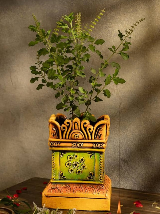 స్త్రీ లేదా పురుషుడు.. తులసి మొక్క ఎవరు నాటడం మంచిదో తెలుసా?