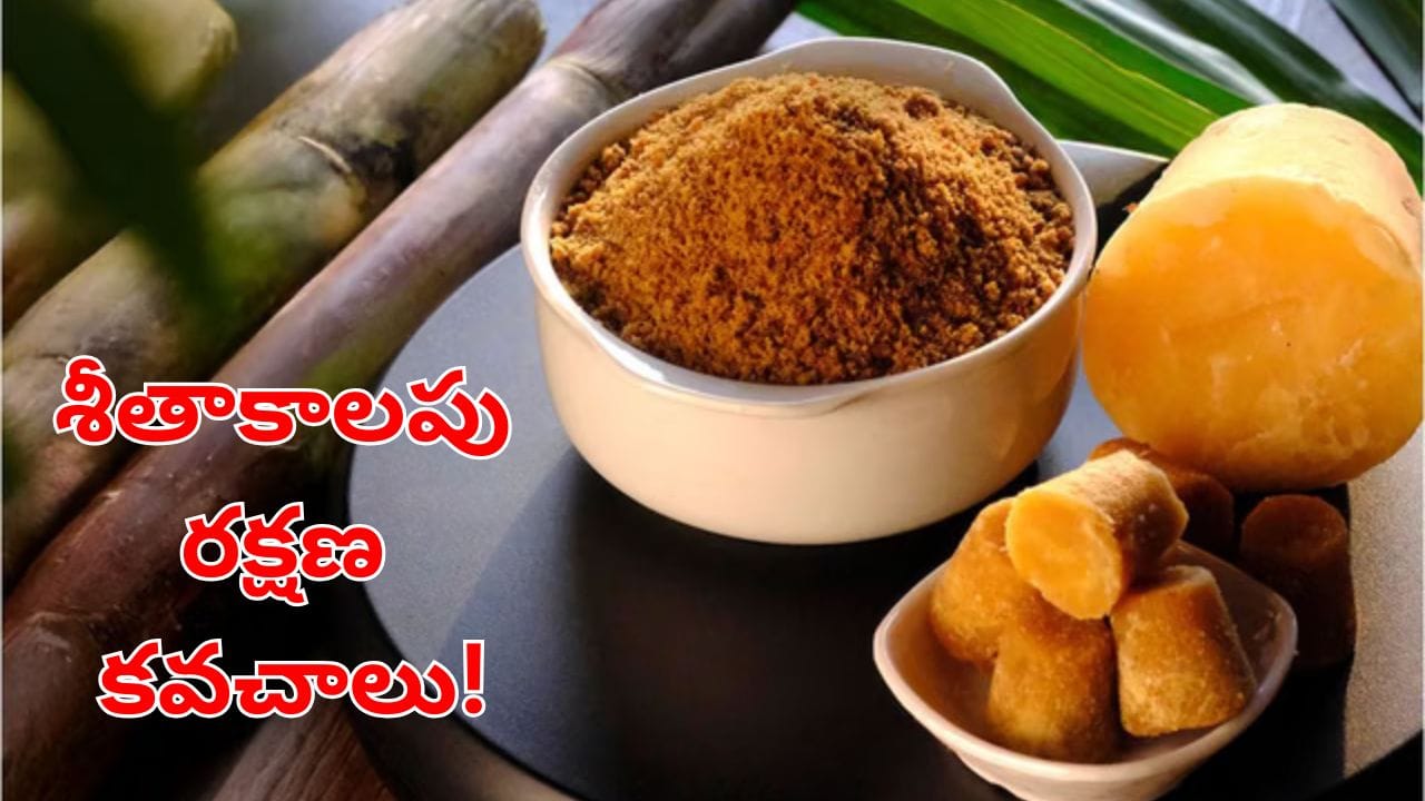 శీతాకాలపు రక్షణ కవచాలు.. ఈ మూడు మీ ఆహారంలో ఉంటే..  ఆ సమస్యకు చూమంత్రం వేసినట్టే!