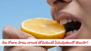 Hygiene Tips: షాకింగ్ రిపోర్ట్.. మీరు తెలియకుండా తాకుతున్న ఈ 5 శరీర భాగాలే.. ఆసుపత్రికి పంపుతాయి!