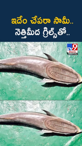 Rare Fish: మత్స్యకారుడి వలలో చిక్కిన వింత చేప.. ఎలా ఉందో చూశారా?