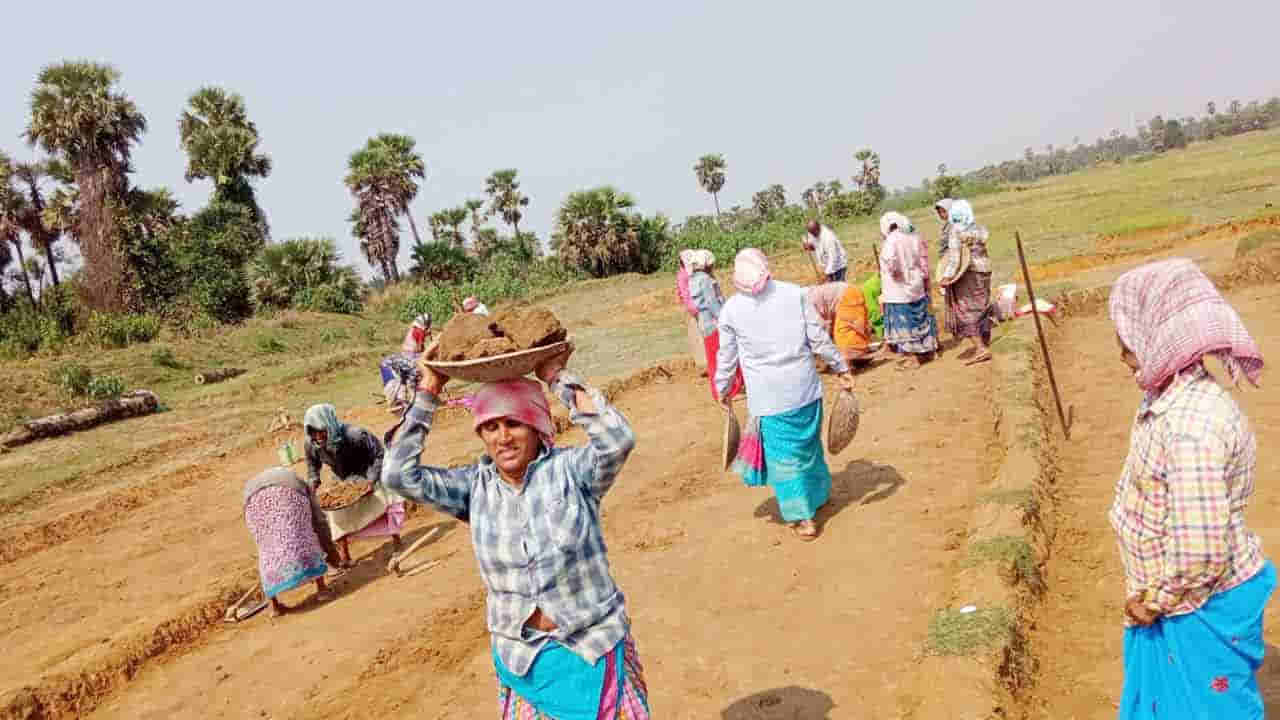 Modi Government: మోదీ ప్రభుత్వం సంచలన నిర్ణయం.. ఉపాధి హామీ పథకం రద్దు..!