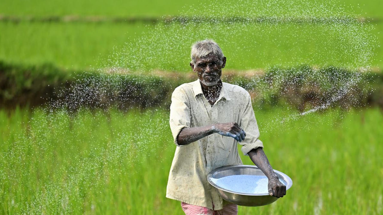 Urea Booking: రైతులకు అలర్ట్.. యాప్‌లో యూరియా బుక్ చేస్తున్నారా..? ఈ తప్పు చేస్తే బుకింగ్ క్యాన్సిల్