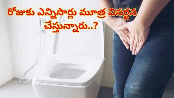 Urinary Health: రోజుకు ఎన్నిసార్లు మూత్ర విసర్జన చేయాలి..? లేదంటే, మీ హెల్త్ రిస్క్లో ఉన్నట్టే..!