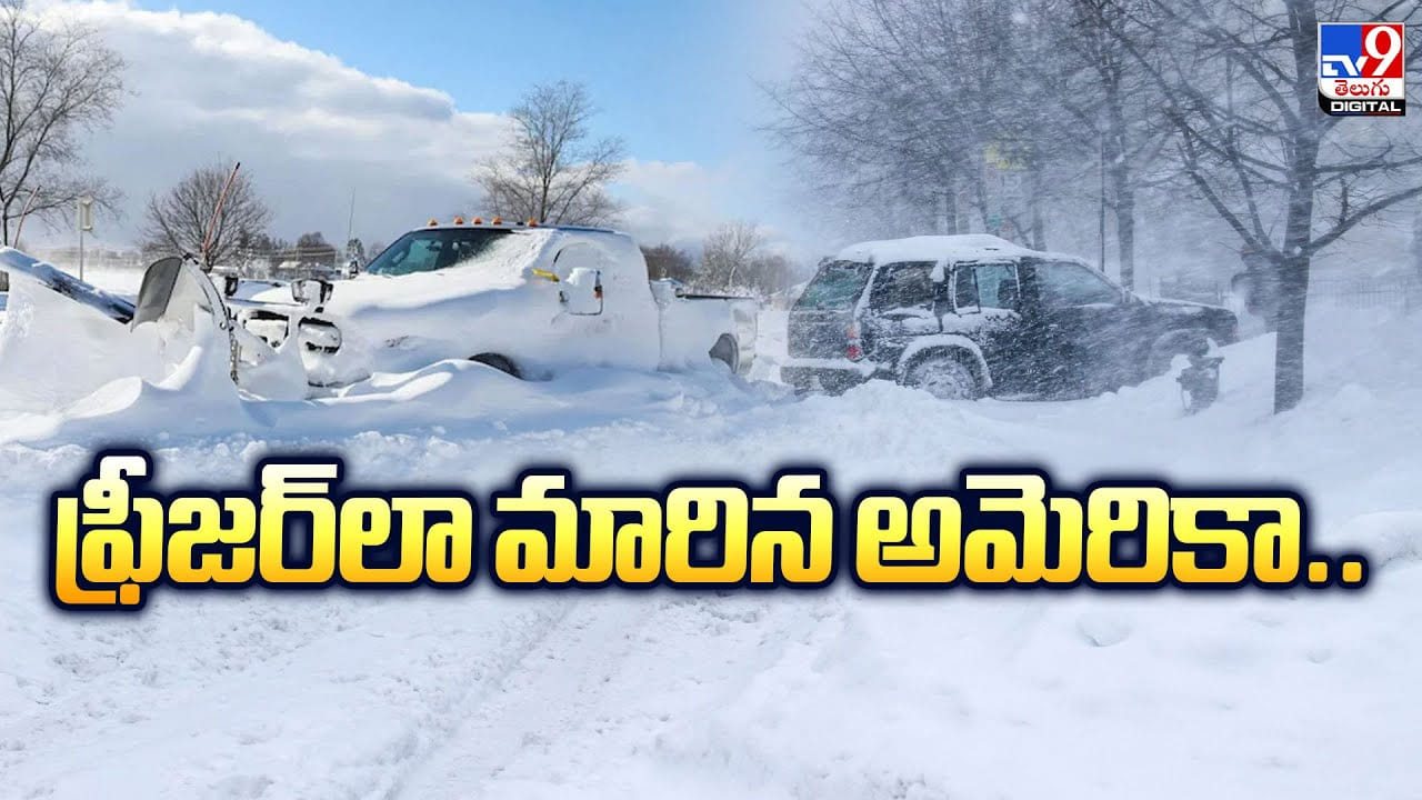 ఫ్రీజర్‌లా మారిన అమెరికా.. మంచులో జారుతూ.. జూలో జంతువుల ఆటలు