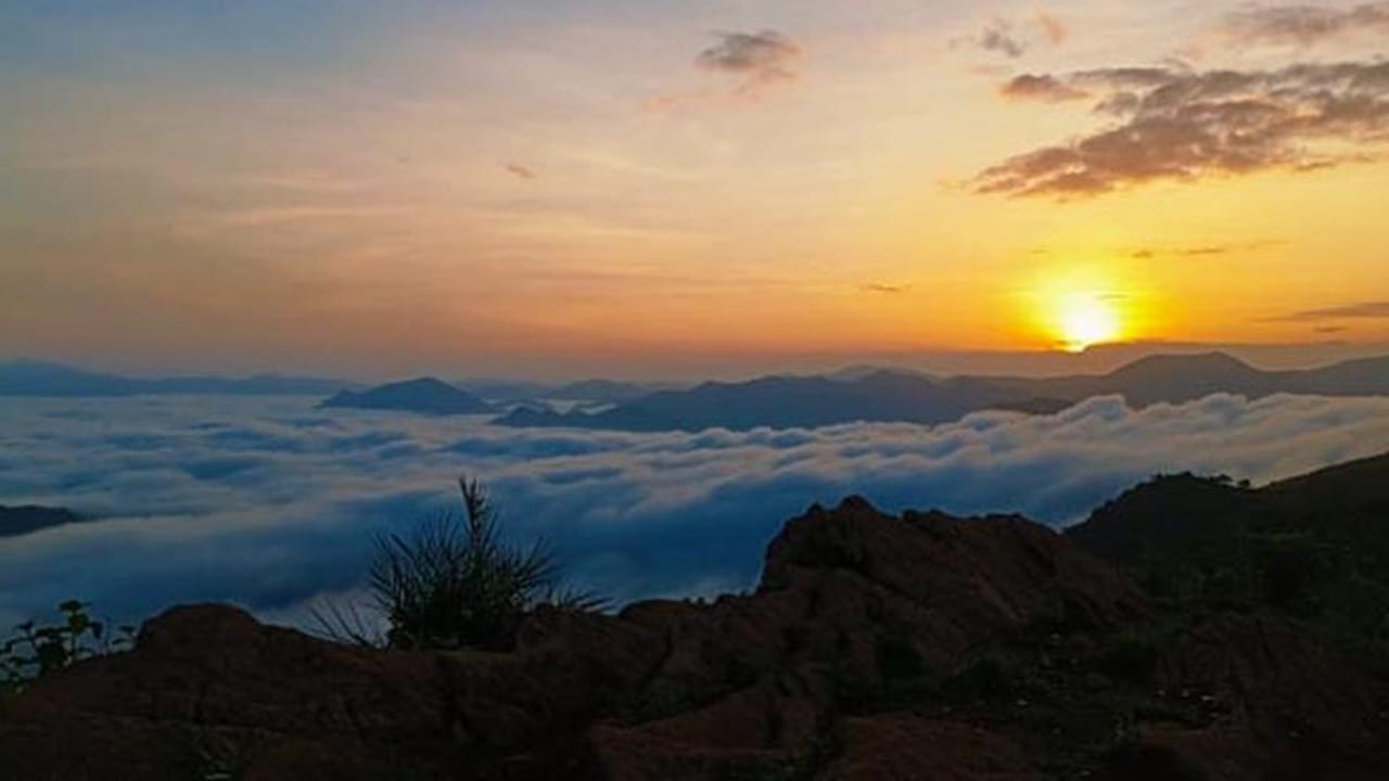 గ్రేటర్ హైదరాబాద్ నుండి వంజంగి వరకు మీరు దాదాపు 800 కి. మీ. దూరం ప్రయాణించాలి. మీ ట్రిప్ ప్లాన్ చేసుకోవడంలో మీకు సహాయపడే కొన్ని విషయాలు తప్పకుండ తెలుసుకోవాలి. లేదంటే ఇబ్బంది పడతారు. వంజంగిలో చూడాల్సిన ప్రదేశాల గురించి కూడా ముందుగానే తెలుసుకోవాలి. అలాగే ఇక్కడికి వెళ్లే ముందు ప్రయాణ సదుపాయాలు తెలుసుకోవడం చాలా ముఖ్యం.