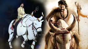 ఏం ప్లాన్ చేస్తున్నావ్ జక్కన్న.. ఒక్క మహేష్.. ఐదు పాత్రలు..