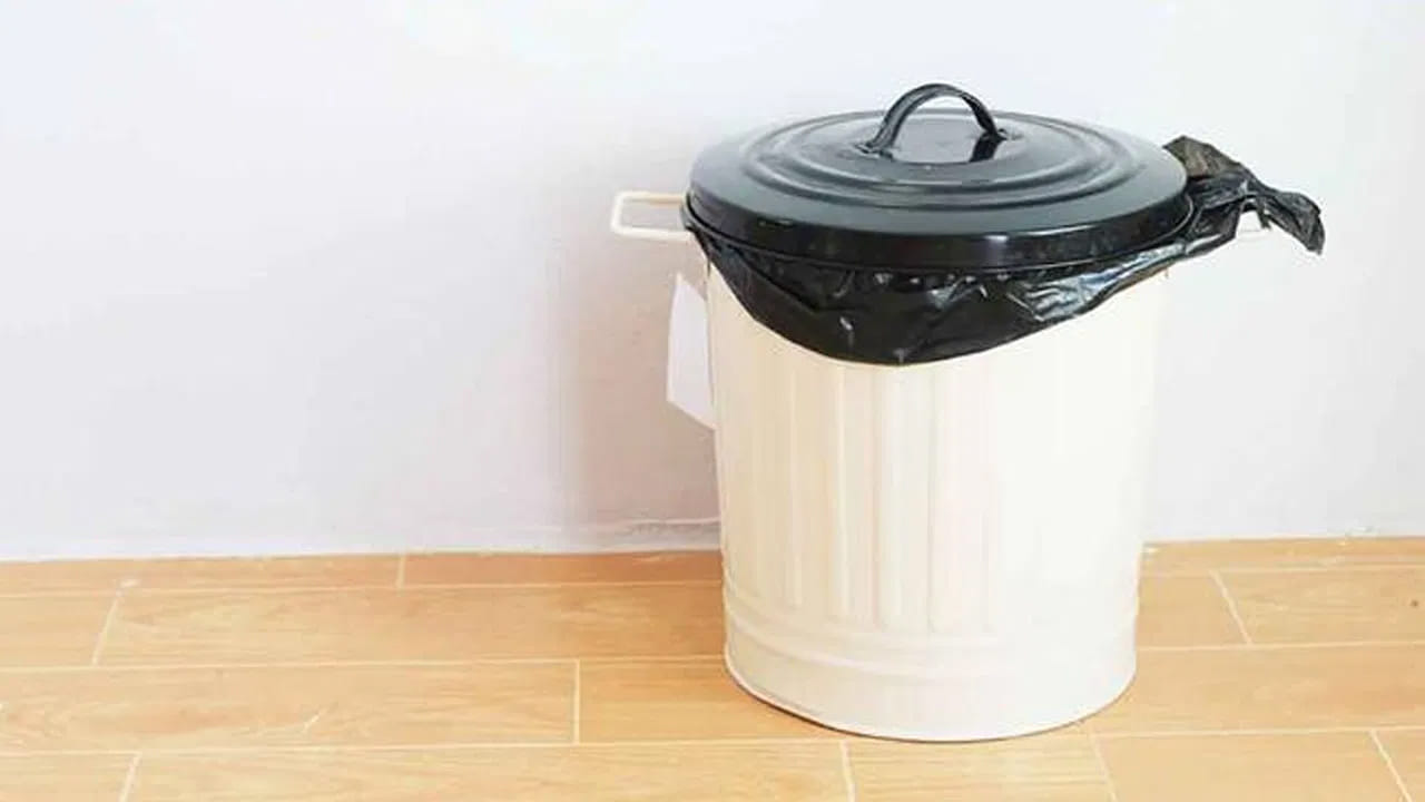 వాస్తు శాస్త్రం ప్రకారం, చెత్త బుట్ట అంటే చాలా మంది ఎక్కువగా పట్టించుకోరు. దీనిని ఇంటిలో ఏదో ఒక మూలన పెడుతుంటారు. కానీ మనం వేసే చెత్త బుట్ట కూడా మన ఇంటిలో సానుకూల శక్తిని నింపుతుందంట. అందుకే దీనిని ఎప్పుడూ తప్పుడు దిశలో పెట్టకూడదు అంటున్నారు వాస్తు శాస్త్ర నిపుణులు.