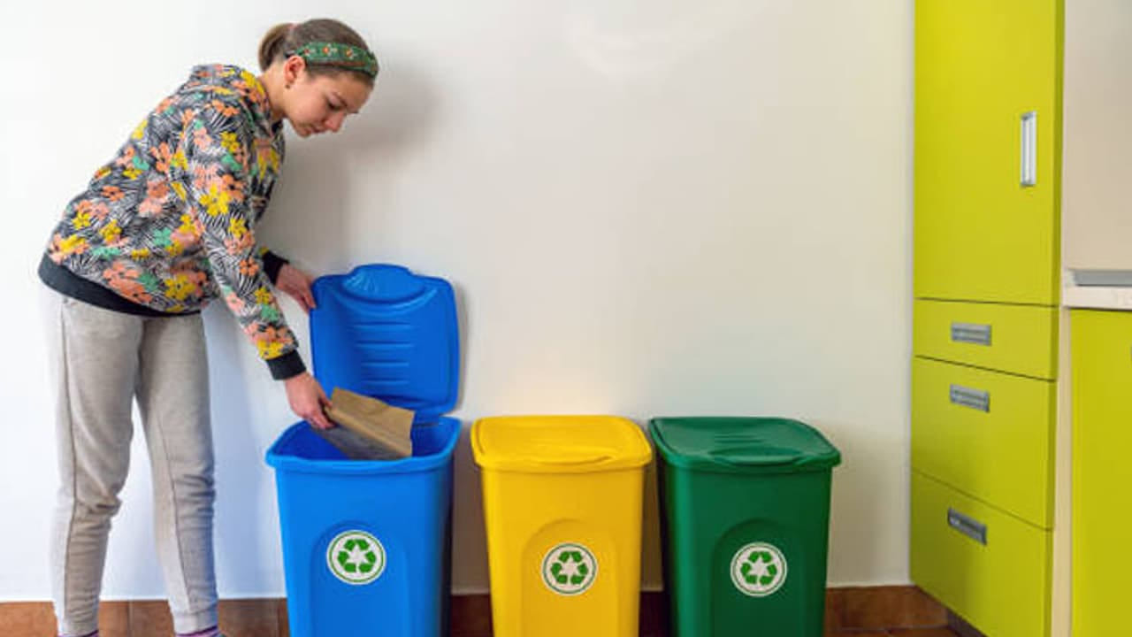 వాస్తు శాస్త్రం ప్రకారం ఇంటిలోకి సానుకూల శక్తి ప్రవేశించాలి అంటే, ఎప్పుడైనా సరే చెత్త బుట్టను పశ్చిమం లేదా నైరుతి దిశలో పెట్టడం చాలా శుభప్రదం. దీని వలన ఇంటిలోపల ప్రతికూల శక్తి తగ్గిపోయి, శాంతి నెలకొంటుందంట. ఇది కుటుంబం పై సానుకూల ప్రభావం చూపుతుందంట.