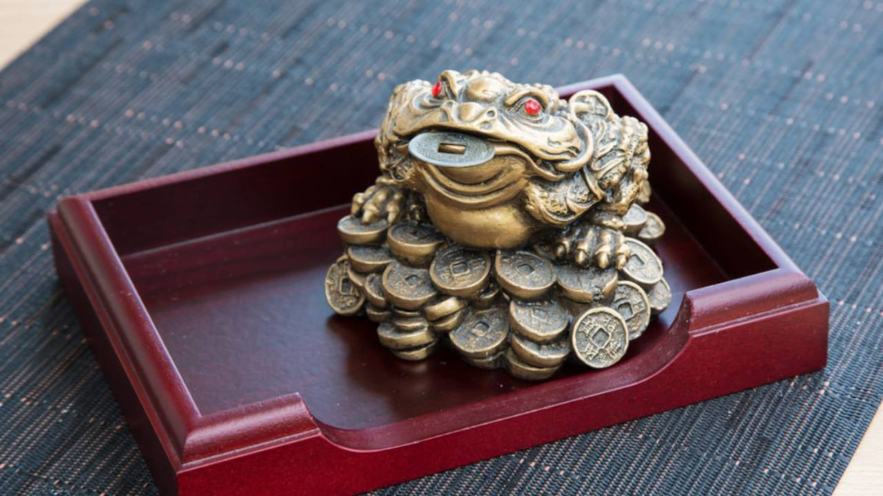 మనీ ఫ్రాగ్  : మీ ఇంటిలో ధనానికి లోటు ఉండకూడదు అంటే తప్పకుండా ఇంటిలో మనీ ఫ్రాగ్ విగ్రహం ఉండాలని చెబుతున్నారు వాస్తు శాస్త్ర నిపుణులు. మనీ ఫ్రాగ్, డబ్బు కప్ప అని కూడా అంటారు. ఇది ఇంటిలో ఉండటం వలన ఆ ఇంటి వారికి అదృష్టం కలిసి రావడమే కాకుండా, అనుకోని మార్గాల ద్వారా డబ్బు ఇంటికి వస్తుందంట. సంపద పెరుగుతుందంట. అయితే ఈ మనీ ఫ్రాగ్ విగ్రహాన్ని, ఇంటి ప్రధాన ద్వారం వద్ద పెట్టుకోవాలి.