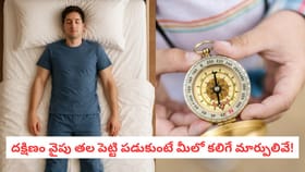 తల దక్షిణం వైపు పెట్టి పడుకుంటే జీవితంలో కలిగే మార్పులివే!