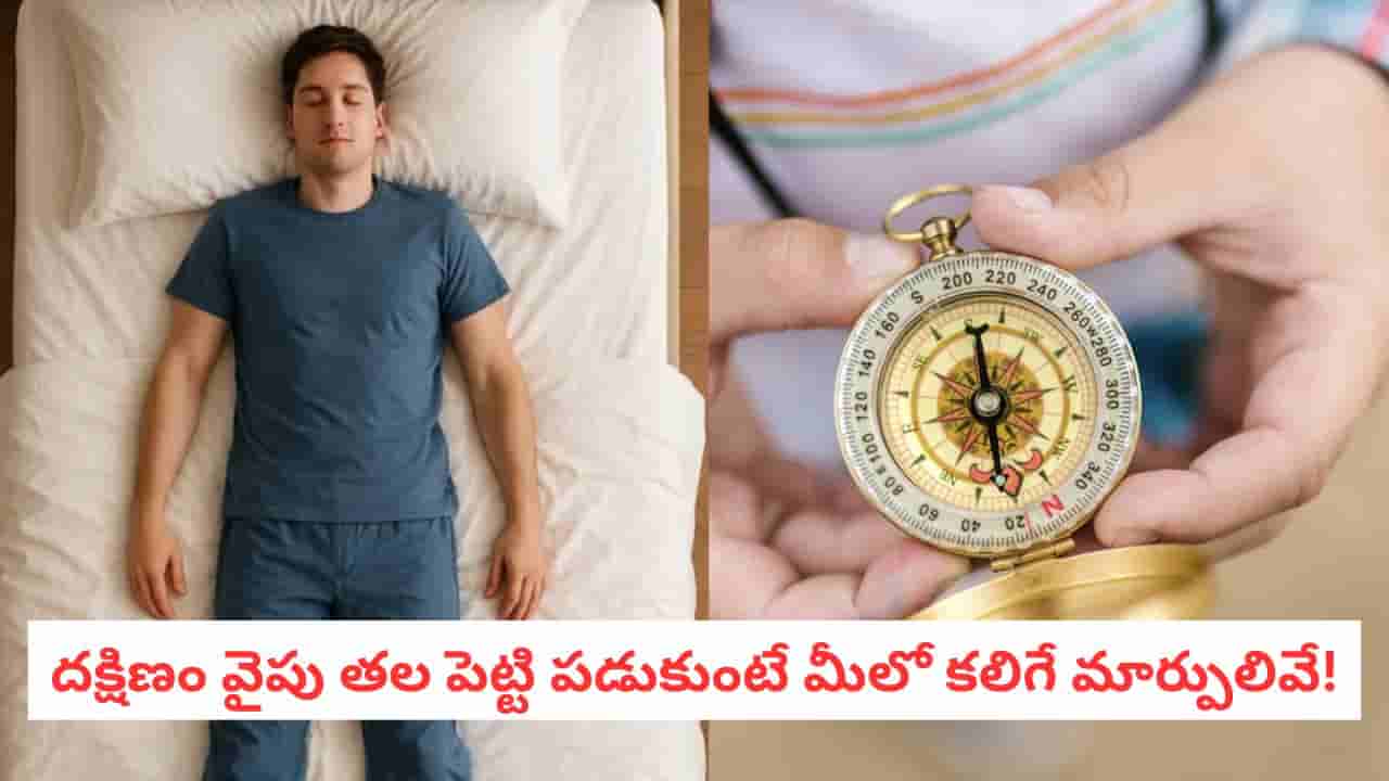 Vastu Tips: మీకు ఎంత నిద్ర వచ్చినా... ఈ దిశలో తల పెట్టి పడుకుంటే విషాదమే!