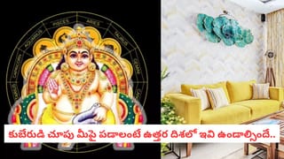 Vastu Tips: ఇంటి ఉత్తర దిశలో ఇది ఉంటే చాలు.. మీ దరిద్రం పోయి కోటీశ్వరులు అవ్వడం ఖాయం!