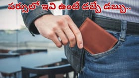మీ పర్సులో ఈ వస్తువులుంటే డబ్బే డబ్బు.. మీ దశ మారిపోవడం..