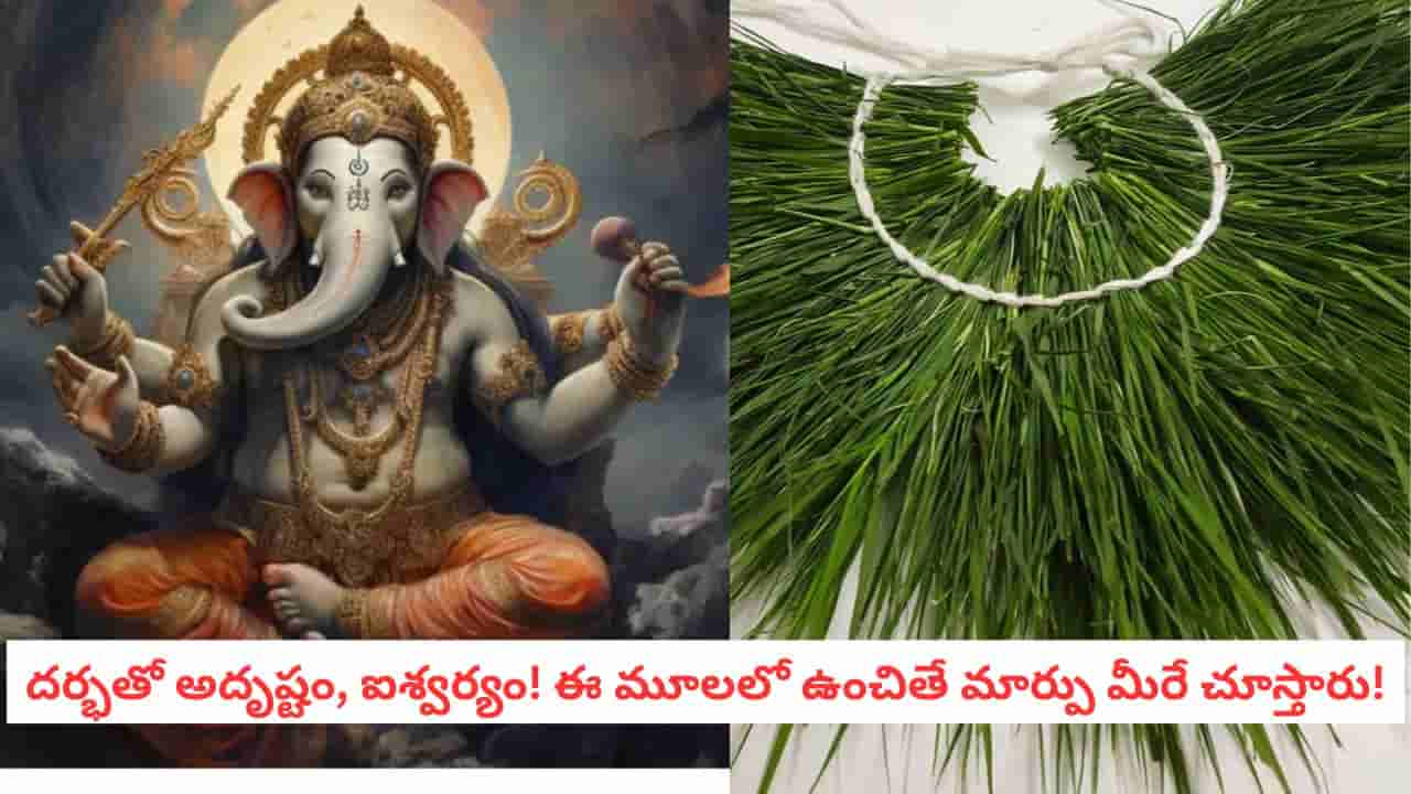 Vastu Tips: గణేశుడికి ఇష్టమైన దర్భని ఇంట్లో ఎక్కడ పెంచాలి? వాస్తు ప్రకారం ధనం వచ్చే దిశ ఇదే!