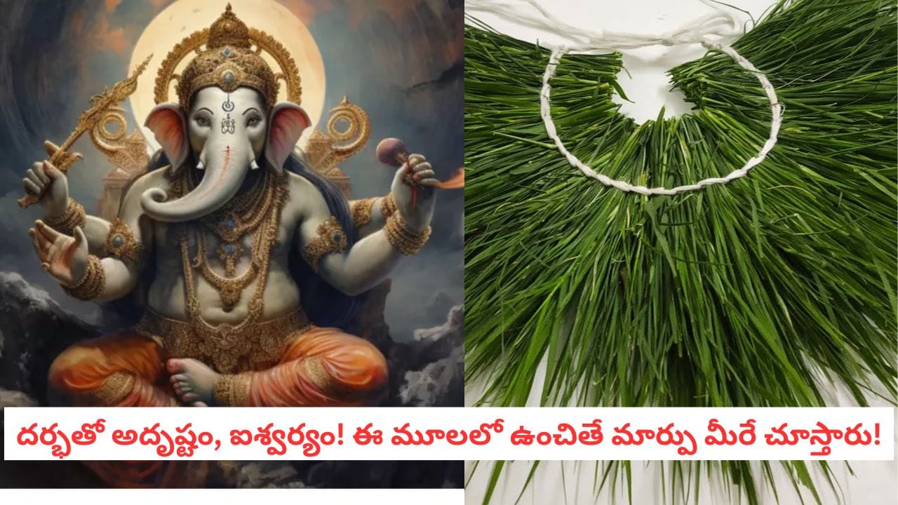 Vastu Tips: గణేశుడికి ఇష్టమైన దర్భని ఇంట్లో ఎక్కడ పెంచాలి? వాస్తు ప్రకారం ధనం వచ్చే దిశ ఇదే!