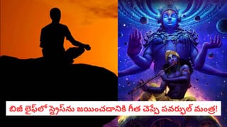 Chanakya Niti: బంధువుల దగ్గర ఈ  విషయాలు చెబితే మీరు మునిగిపోయినట్టే! చాణక్యుడు చెప్పిన నిప్పులాంటి నిజాలు!