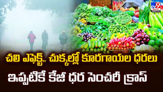 వైభవంగా ముగిసిన మండల పూజ.. శరణుఘోషతో ప్రతిధ్వనించిన శబరిగిరులు