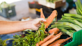 ఇంటికే కూరగాయలు డోర్ డెలివరీ.. ప్రభుత్వం నుంచి యాప్