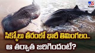 వజ్రాల లాకెట్‌ను మింగేసిన దొంగ.. ఆ తర్వాత.. ?